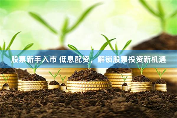 股票新手入市 低息配资，解锁股票投资新机遇
